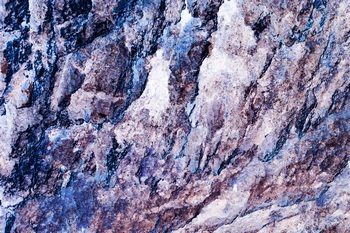 AP 124C1